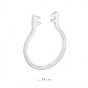 Sterling Silver ring with...