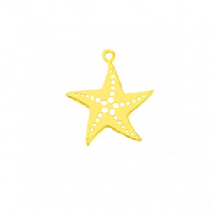 Colgante estrella de mar...
