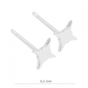 Clous d´oreilles etoile...